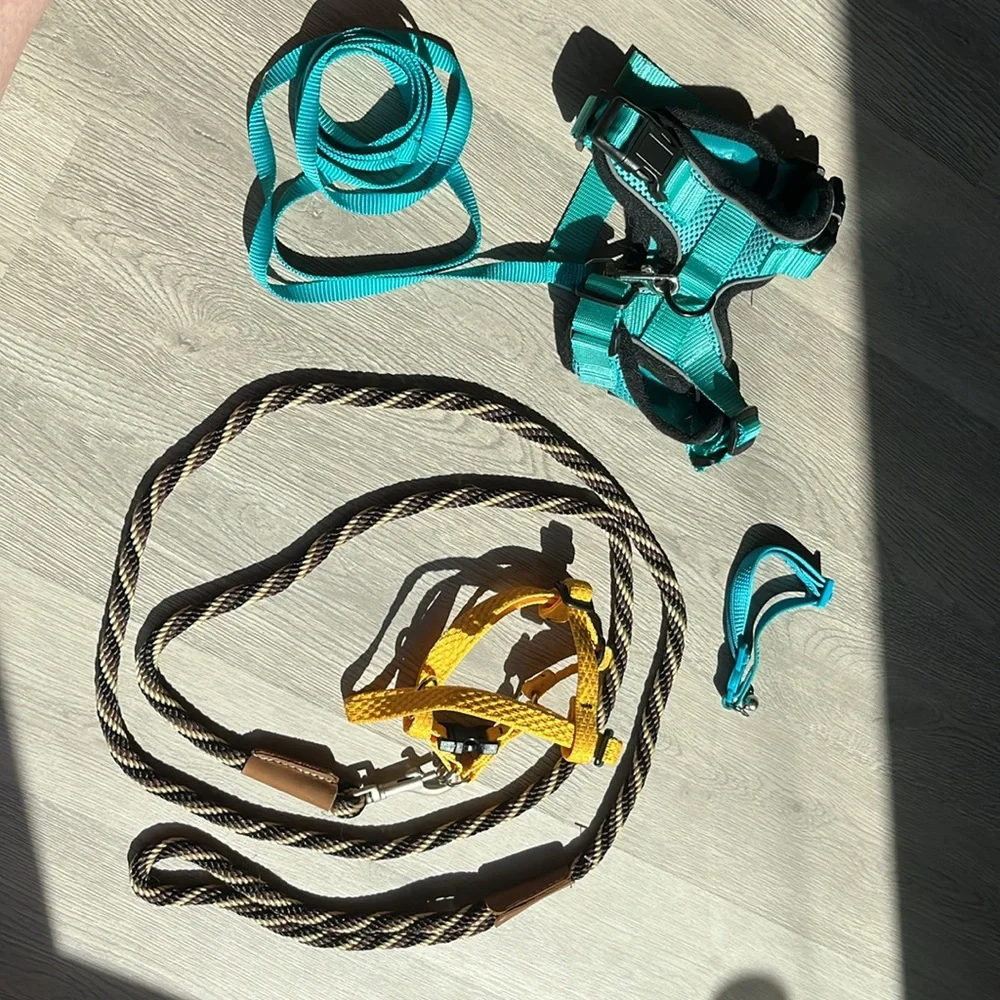 Cat or Mini Dog Harness and leash set, adjustable, multi color, Like New